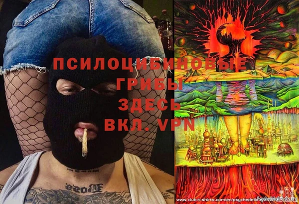 соль ск Абаза