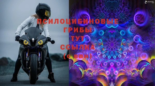 соль ск Абаза