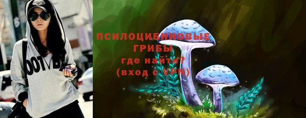 соль ск Абаза