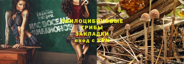соль ск Абаза