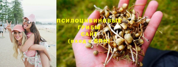 соль ск Абаза